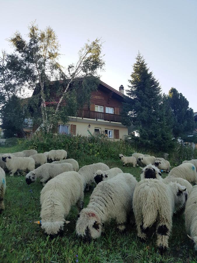 Chalet Bietschhorn Rosswald Termen Экстерьер фото